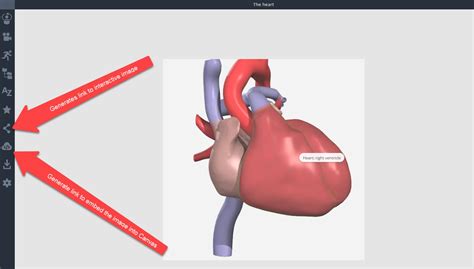 Virtual Anatomy Education Resources – EHSL Vitals