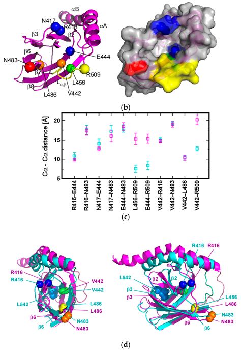 Molecules Free Full Text Substrate Binding Switches The