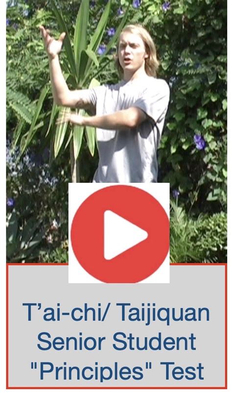 tai-chi chuan/taijiquan Principles and Applications : Chi-Arts