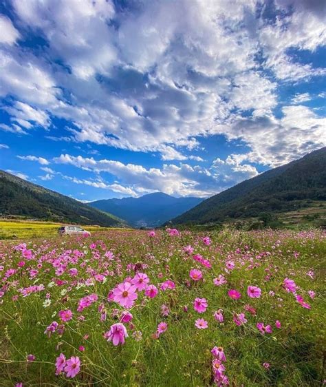 Chug Valley - Arunachal Pradesh | Nature photography, Nature ...