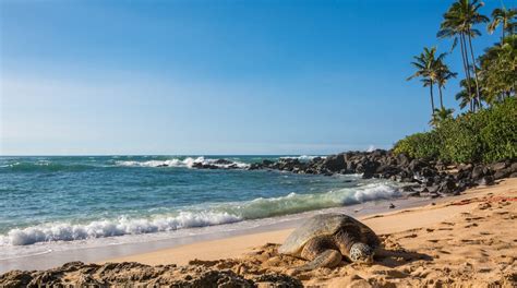 Top Hotels in Haleiwa, HI from $135 | Hotels.com