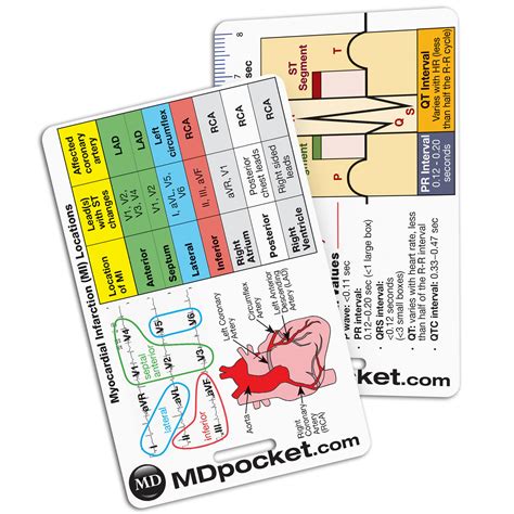 Rapid ID - EKG & Myocardial Infarction