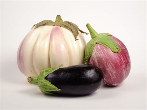 18 Types Of Eggplant Complete List And Guide Northern Nester