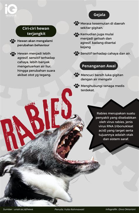 Universitas Airlangga On Twitter Penyakit Rabies Kembali Menjadi