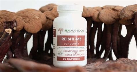 Reishi Mushroom Benefits and Usage: A Comprehensive Guide