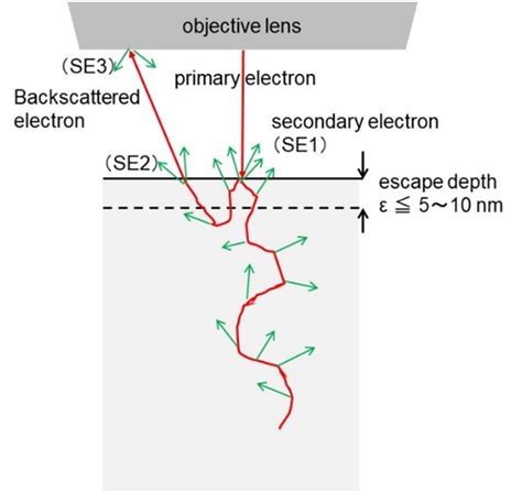 Secondary Electron Se Glossary Jeol Ltd