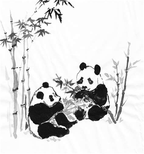 Panda With Bamboo Drawing At Paintingvalley Explore Collection Of