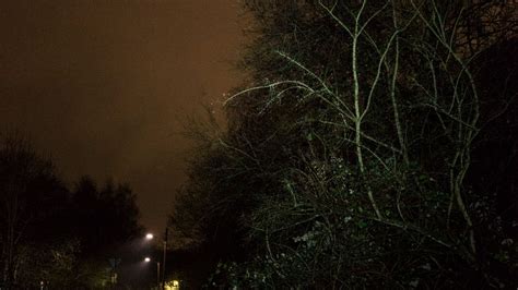 Is There Truth To Refugee Sex Offense Reports Der Spiegel