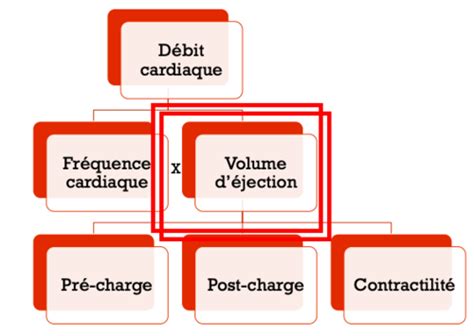 Cardio Insuffisance Cardiaque Flashcards Quizlet