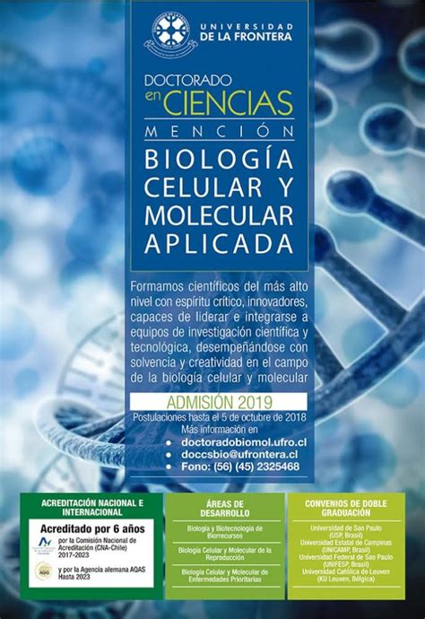 Doctorado En Ciencias Menci N Biolog A Celular Y Molecular Aplicada