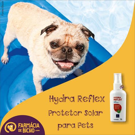 Protetor Solar Para Gato - hydra-reflex-protetor-solar-para-caes-e-gatos | Blog da Farmácia de ...