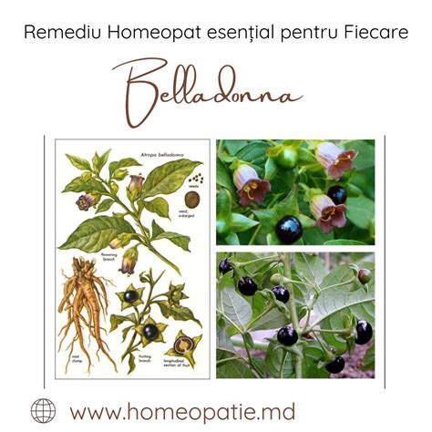 Raceala Tratament Homeopat Remedii Homeopate Eficiente