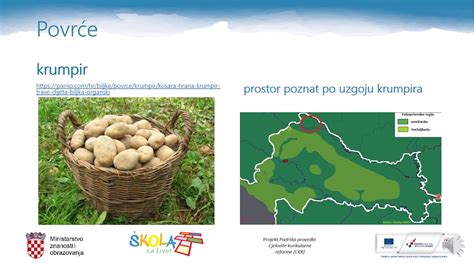 Poljoprivreda Nizinske Hrvatske Interactive Worksheet By Jasminka