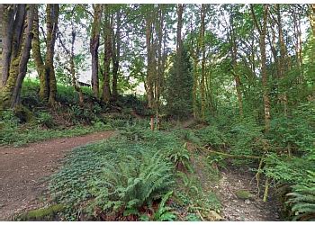 3 Best Hiking Trails in Bellevue, WA - Expert Recommendations