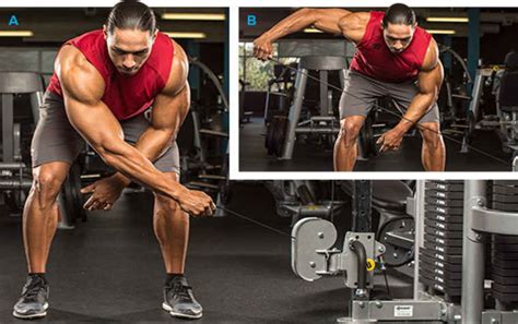 Few Tips To Make Your Rear Delts Roar – Fitness Volt
