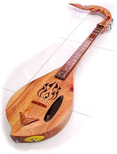 Buy Isarn Acoustic Electric Phin 3 Strings, Thai Lao Guitar Musical Instrument, Traditional Thai ...