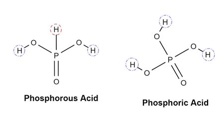 Diprotic Acid | Definition, Lists & Examples - Lesson | Study.com