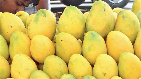 5 Incredible Health Benefits Of Mango And Why You Must Have It This Summer