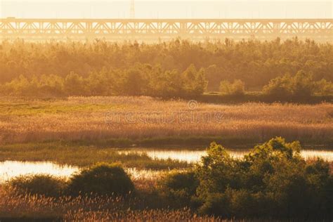 Landscape In Scenic Countryside On A Hot Sunny Day Stock Image Image Of Sunny Terrain 254476307