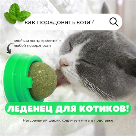 Кошачья мята шарик леденец лакомство - купить с доставкой по выгодным ...