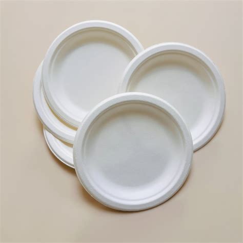 Tableware Paper Plate Custom Printed Biodegradable Round Bagasse Plate