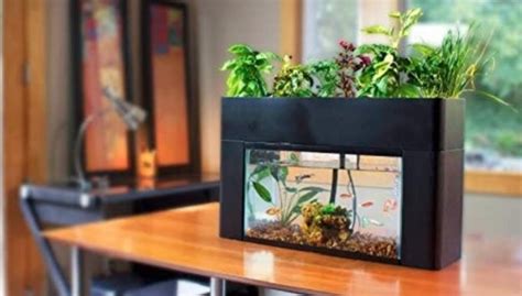 5 Best Aquaponics Kits for Home Gardeners - Sustainable Gardening News