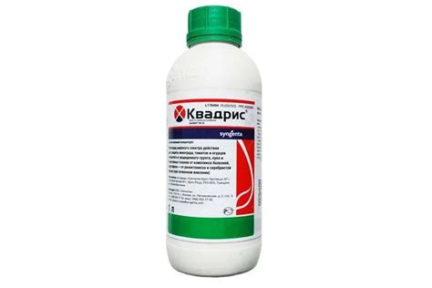 Фитофтора На Помидорах Что Можно Сделать