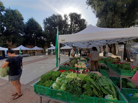 Foto Riaperto Da Stamane Il Mercatino Arco Etrusco