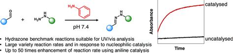 Aniline Reaction With Aldehyde