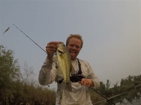 Boise Fishing Ponds - Caldwell Rotary Pond Largemouth Bass - Kraken Bass