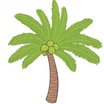 Coconut Tree Clipart Coconut Tree Cartoon Coconut Tree Illustration