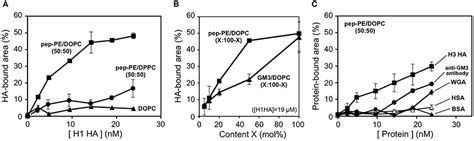 Frontiers Binding Of Hemagglutinin And Influenza Virus To A Peptide