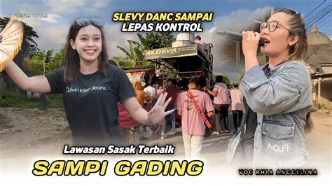 Sampi Gading Lawasan Sasak Terbaik Versi Kecimol Aldeva Musik Youtube