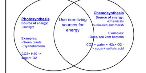 Photosynthesis Vs Cellular Respiration Venn Diagram