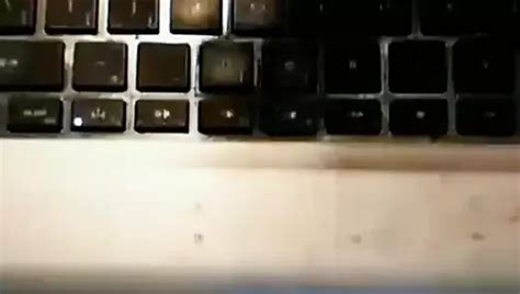 Abuelito Miron Free Gay HD Porn Video XHamster