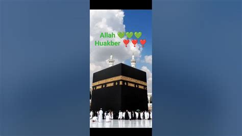 Islamic Status 🕋🕋🕋🕌🕌🕌💚💚💚 ️ ️ ️🥰🥰🥰👍👍👍☑️☑️☑️ Youtube