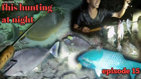 Night Spearfishing Episode 15 Fhis Hunting At Night YouTube