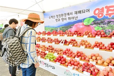 영주사과축제 ‘사과는 역시 영주사과