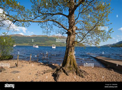 Tarbet , Loch Lomond, Scotland Stock Photo - Alamy