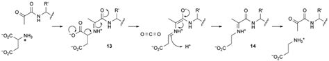 Scheme 5 Mechanism of aspartate decarboxylase. | Download Scientific Diagram