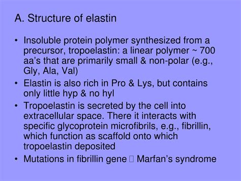 exploring collagen structure  function powerpoint