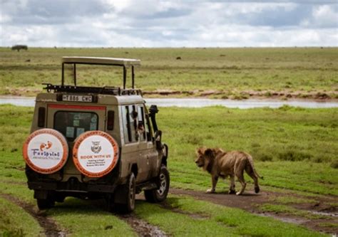 Wildlife Safari Tours In Tanzania Footprint Adventure