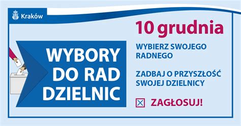 Wybory Do Rad Dzielnic