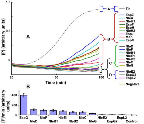 Translocation Dynamics Of Epec Effectors A Epec Strains Each