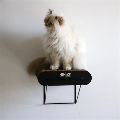 I Love Happy Cats Guide For A Happy Cat 4