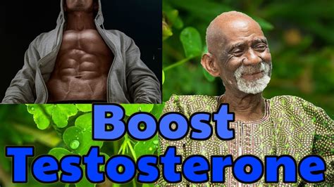 Dr Sebi Natural Remedy For Raising Testosterone Or Estrogen Youtube