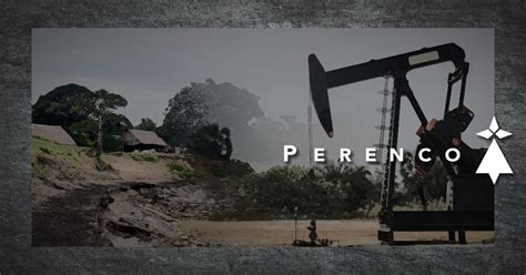 O Sil Ncio Da Petroleira Franco Brit Nica Perenco Diante Dos Danos