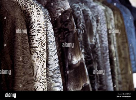 Astrakhan coat hi-res stock photography and images - Alamy