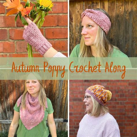 Free Crochet Hot Water Bottle Cover Pattern Cosy Rosie Crochet