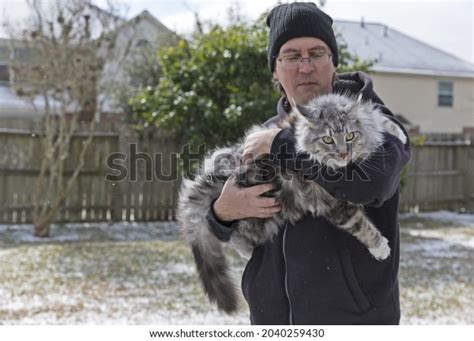 Man Holding Big Maine Coon Cat Stock Photo 2040259430 | Shutterstock